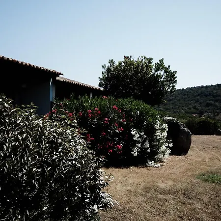 Tatil Evi Les Hauts De Santa Giulia Porto-Vecchio (Corsica)
